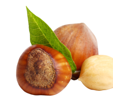 hazelnuts-removebg-preview.png