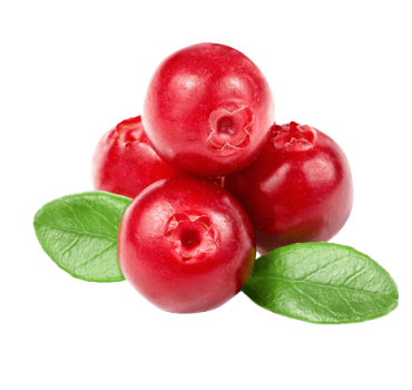 kisspng-cranberry-juice-jam-flavor-chokeberry-5b7e394f48b987.3770347615349988632979-removebg-preview.png